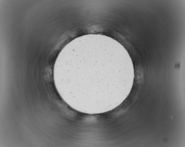 X0000112940523200910051159