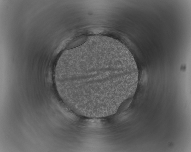 X0000112940524200910051159