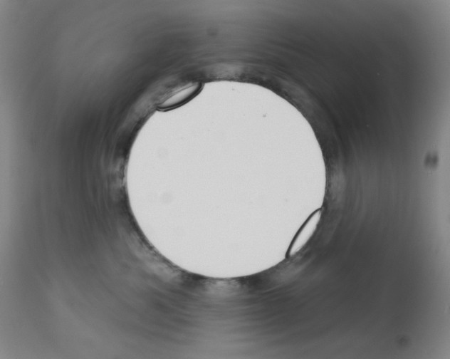 X0000112940525200910051159