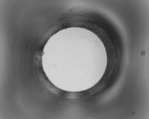 X0000112940527200910051158