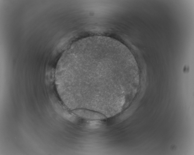 X0000112940528200910051158