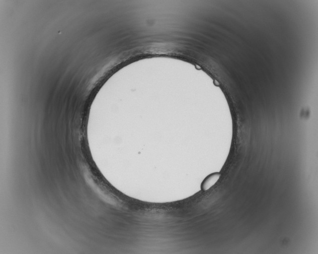 X0000112940530200910051158