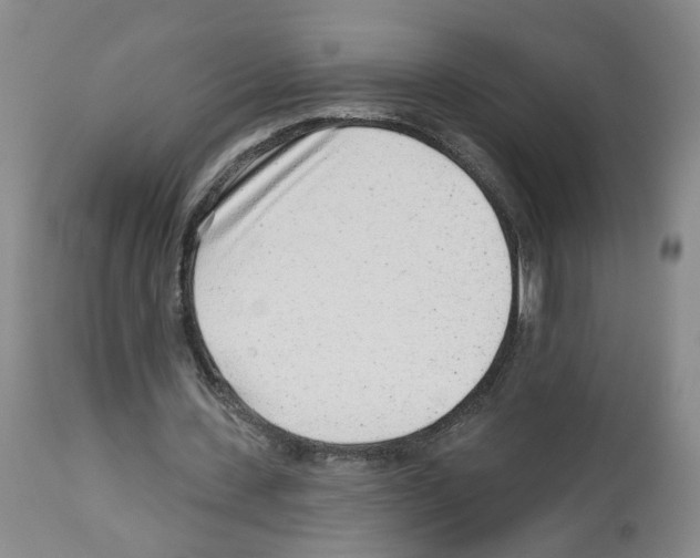 X0000112940531200910051158