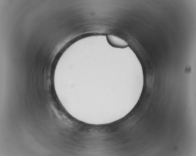 X0000112940532200910051158