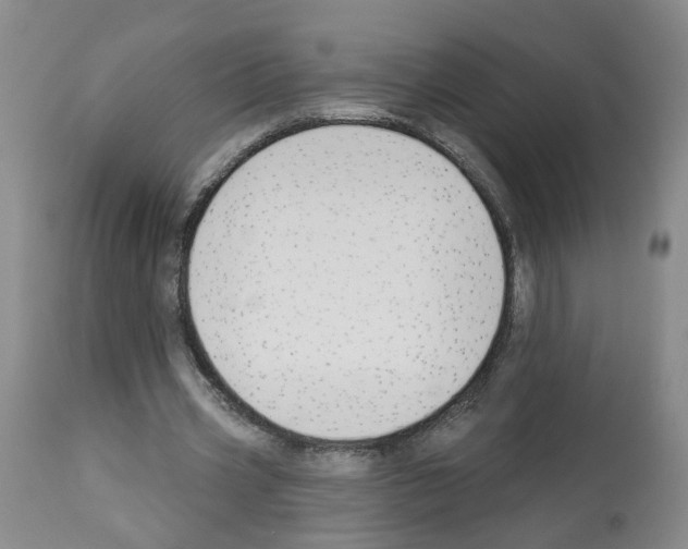 X0000112940533200910051158