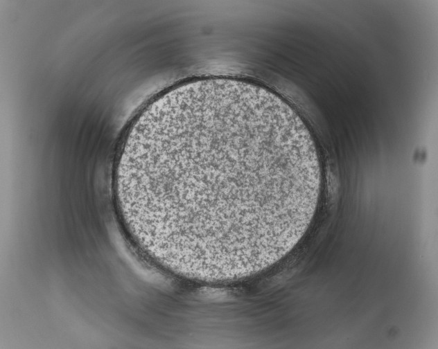 X0000112940534200910051158