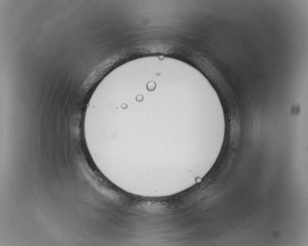 X0000112940537200910051158