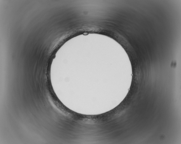 X0000112940538200910051158
