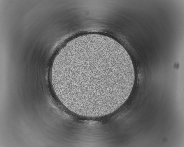 X0000112940539200910051158