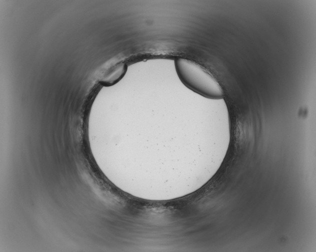 X0000112940540200910051158