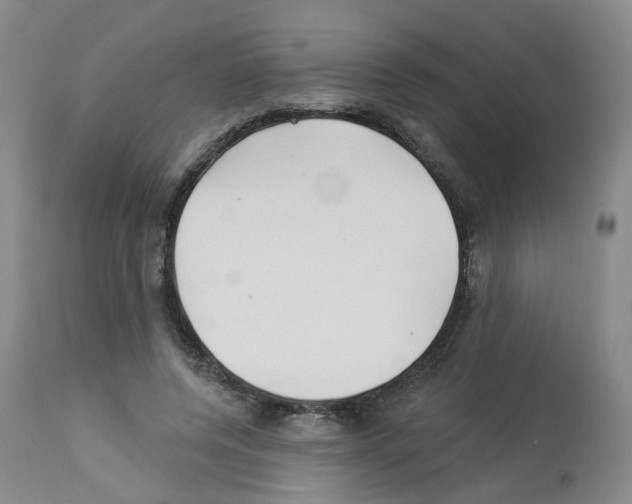 X0000112940544200910051158