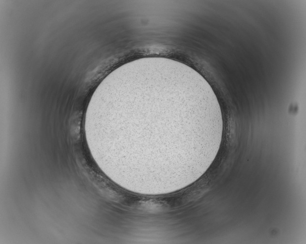 X0000112940545200910051158