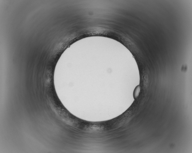 X0000112940546200910051158