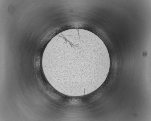 X0000112940549200910051158