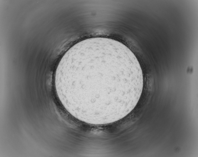 X0000112940550200910051158