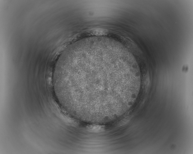 X0000112940553200910051158