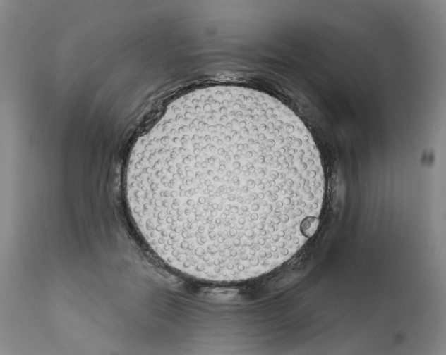 X0000112940554200910051158