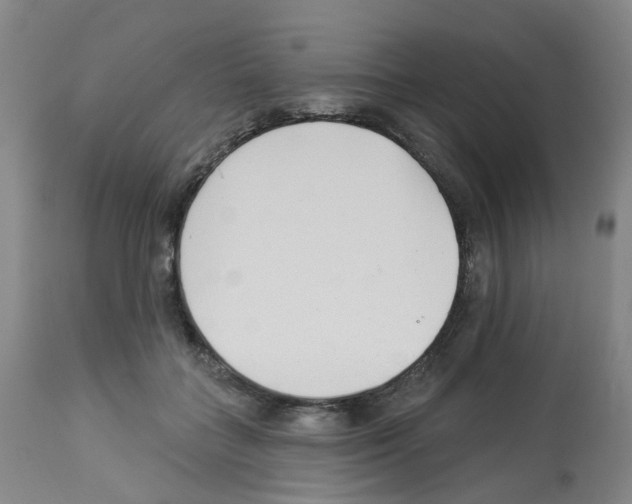 X0000112940555200910051158