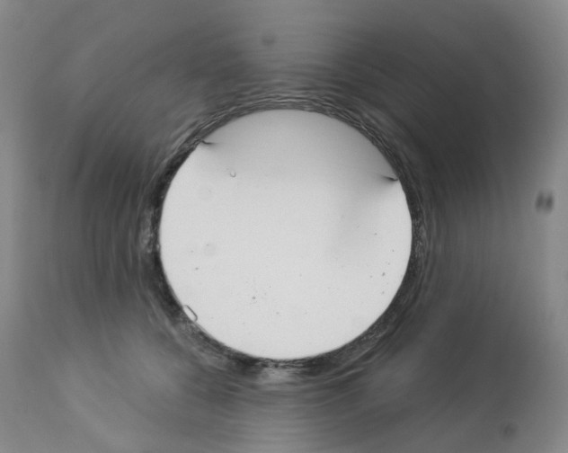 X0000112940560200910051158