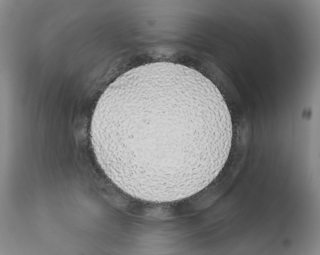 X0000112940561200910051158