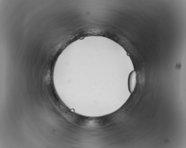 X0000112940564200910051158