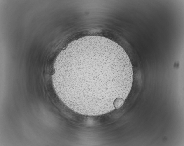 X0000112940565200910051158