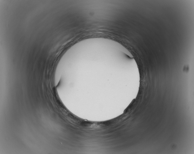 X0000112940566200910051158