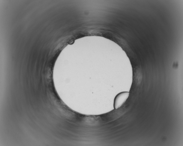 X0000112940571200910051158