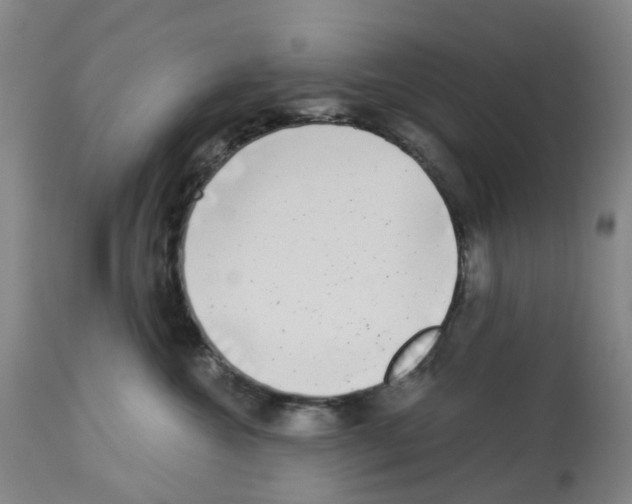 X0000112940572200910051158