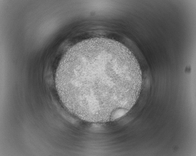 X0000112940573200910051158