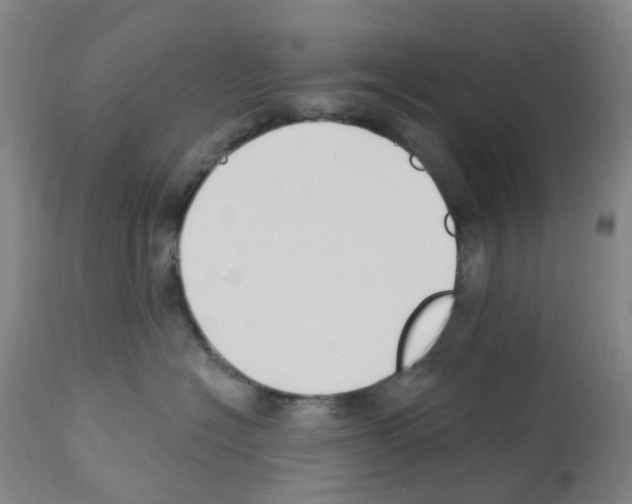X0000112940574200910051158