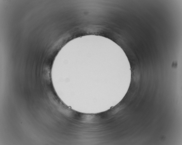 X0000112940575200910051158