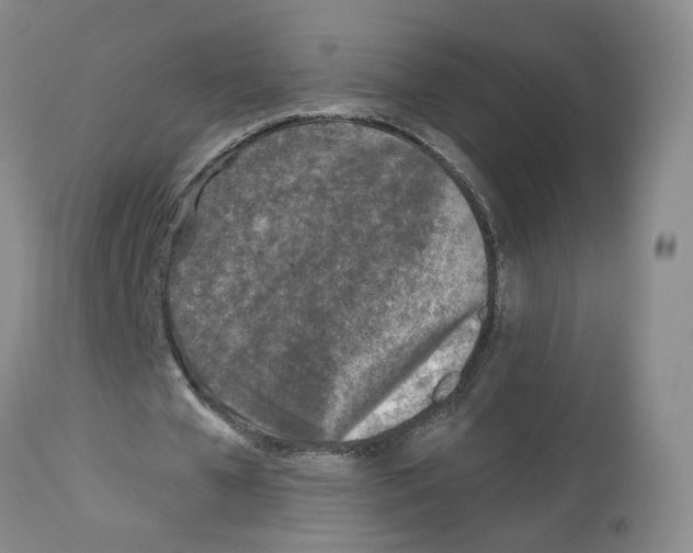 X0000112940577200910051158