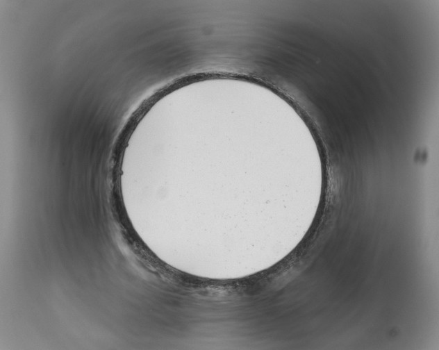 X0000112940580200910051158