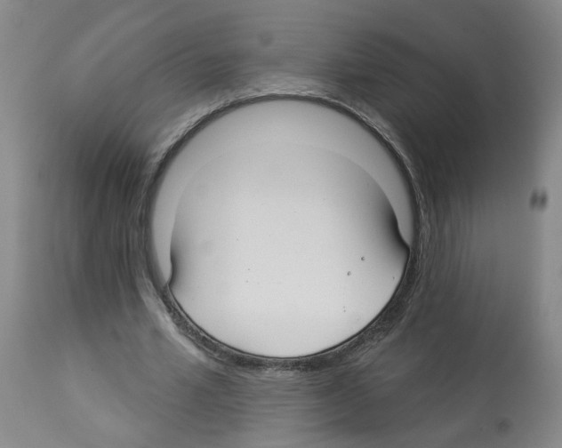 X0000112940581200910051158