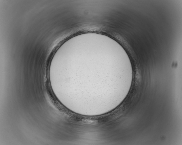 X0000112940582200910051158