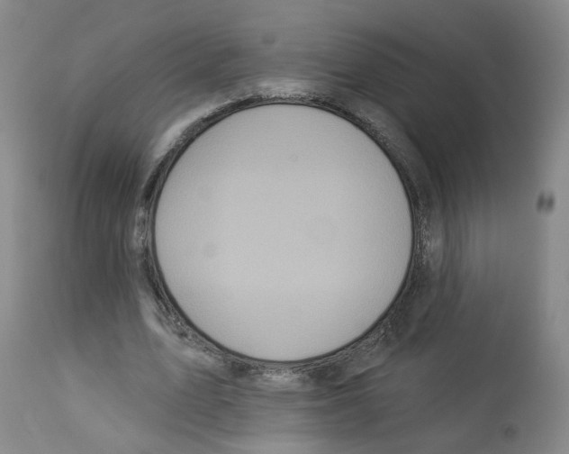 X0000112940583200910051158