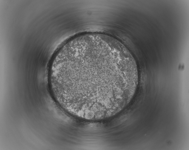 X0000112940584200910051158