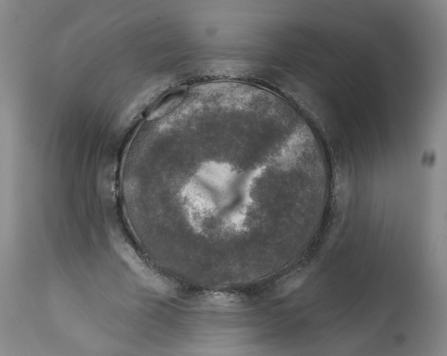 X0000112940585200910051158