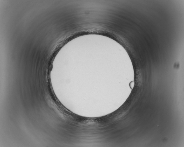 X0000112940589200910051158