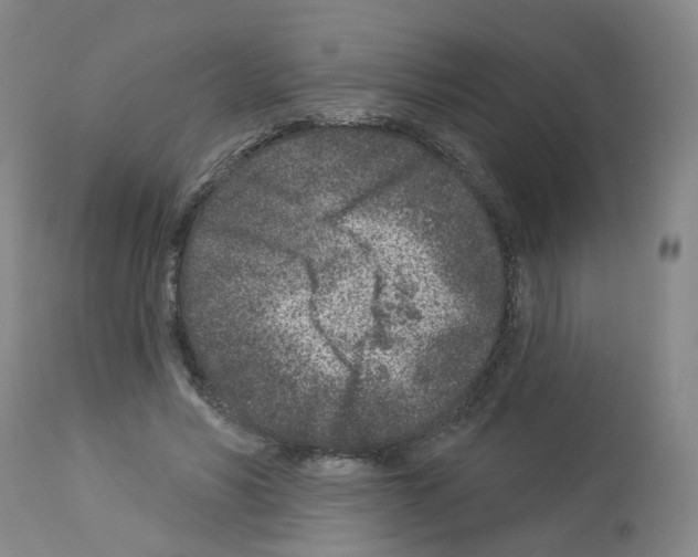 X0000112940590200910051158