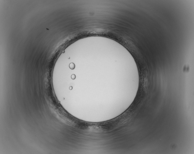 X0000112940591200910051157