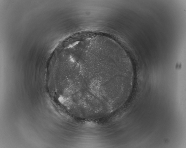 X0000112940592200910051157