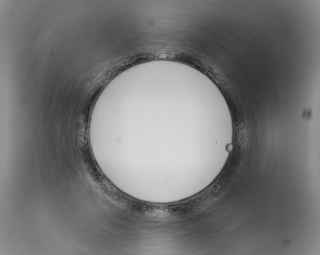 X0000112940594200910051157