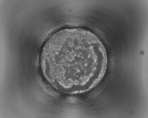 X0000112940596200910051157