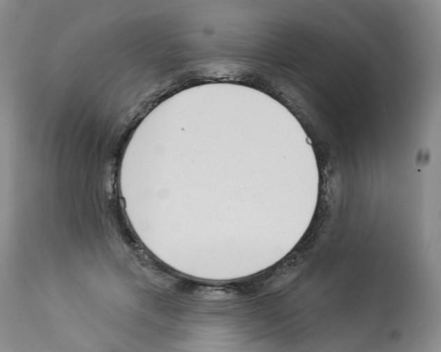 X0000112940597200910051157