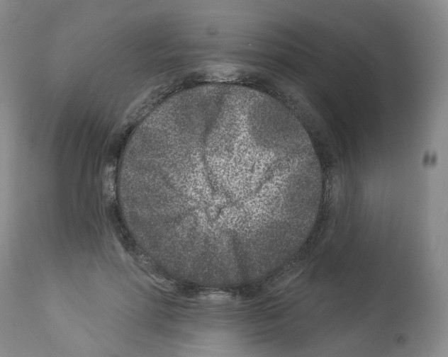 X0000112940598200910051157