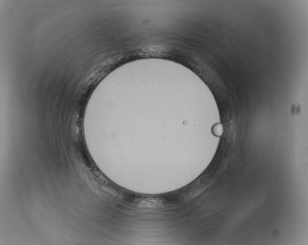 X0000112940599200910051157