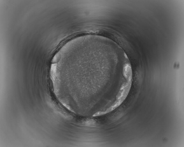 X0000112940600200910051157
