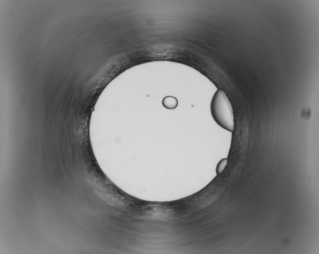 X0000112940601200910051157